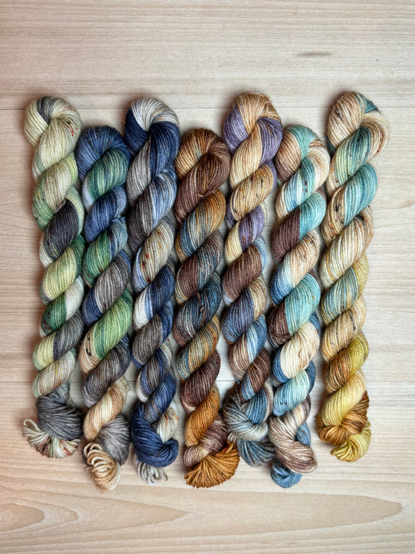 Colorful Colorado Mini Skein Set