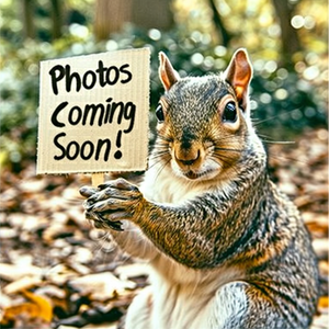 Apple of my Eye — photo coming soon