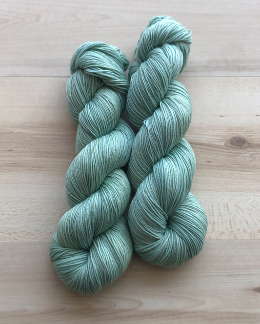 Succulent Dyed to Order