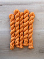 Squash Blossom Mini