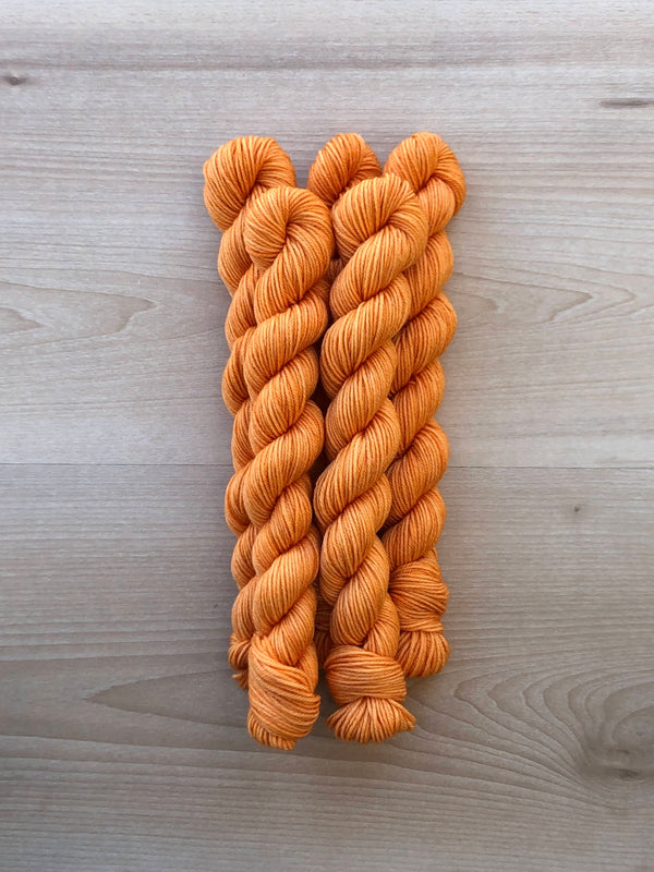 Squash Blossom Mini